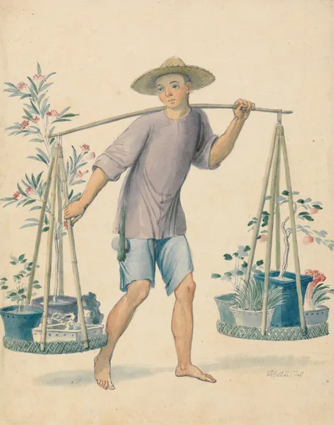 Chinese Flower Seller av Thomas Stothard