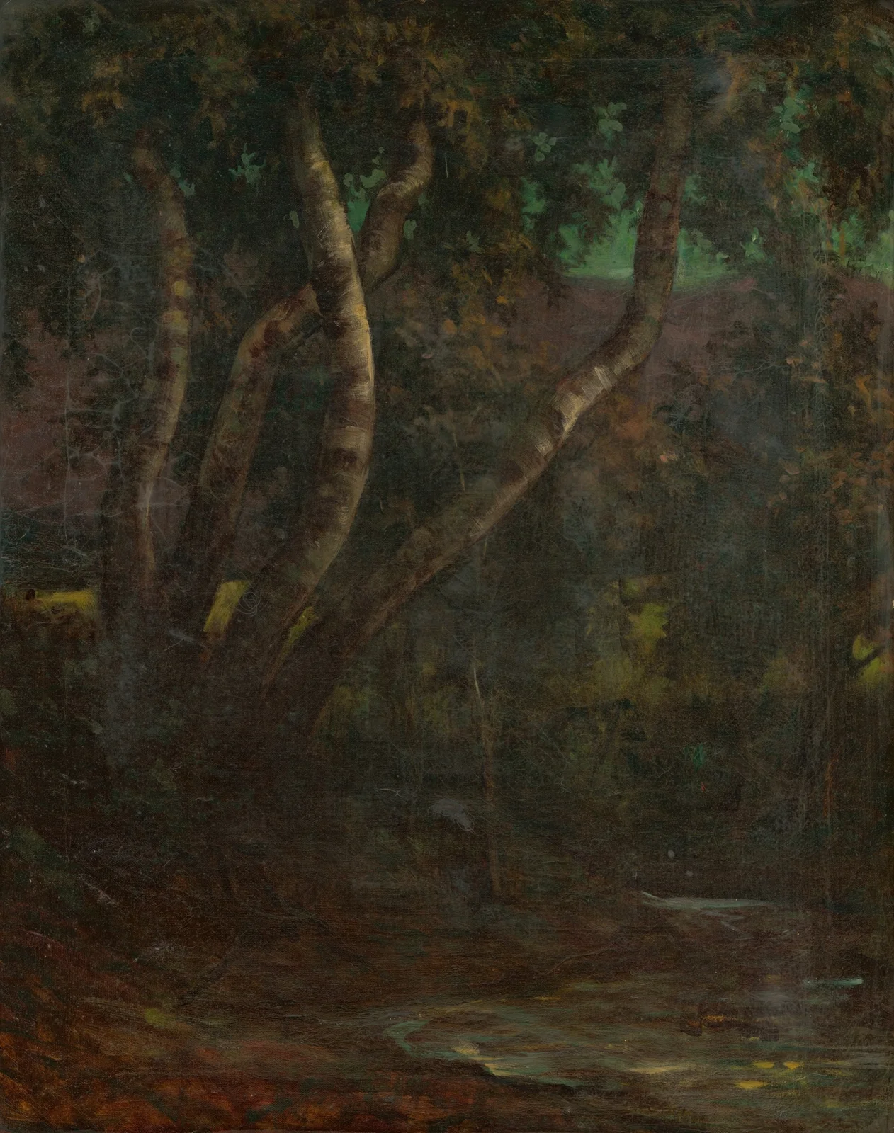 Forest av Milan Thomka Mitrovský