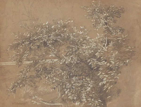 Foliage av William Trost Richards