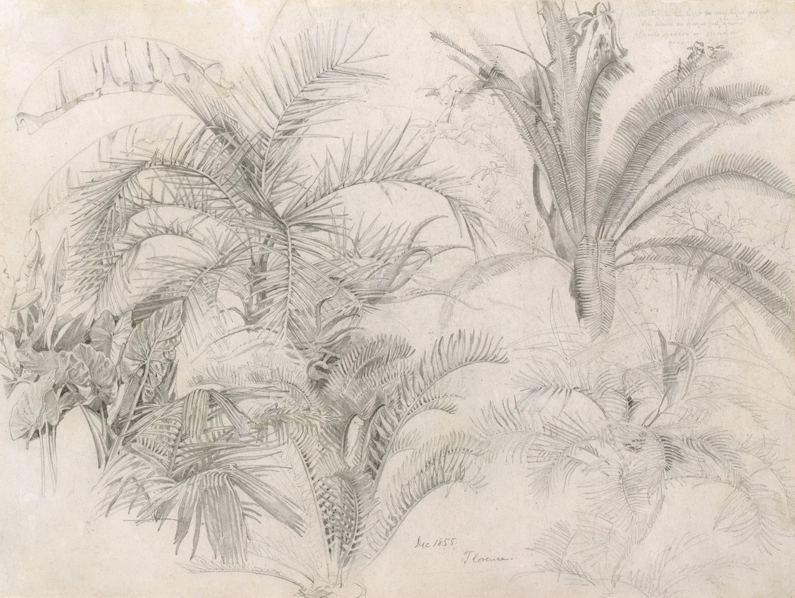 Palms av William Trost Richards