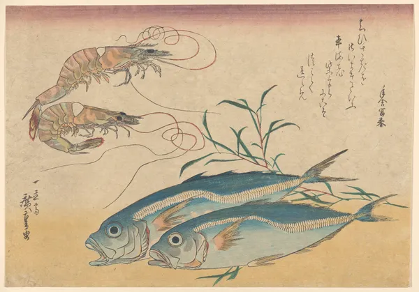 Kuruma Ebi, Aji Prawns, and Horse Mackerel av Utagawa Hiroshige