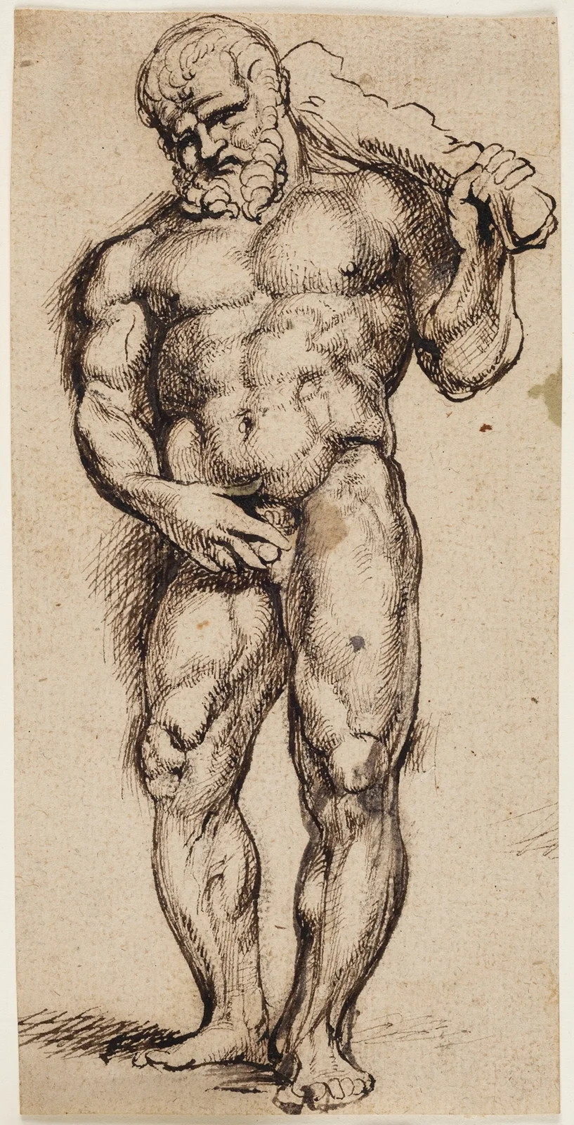 Hercules av Anthony van Dyck