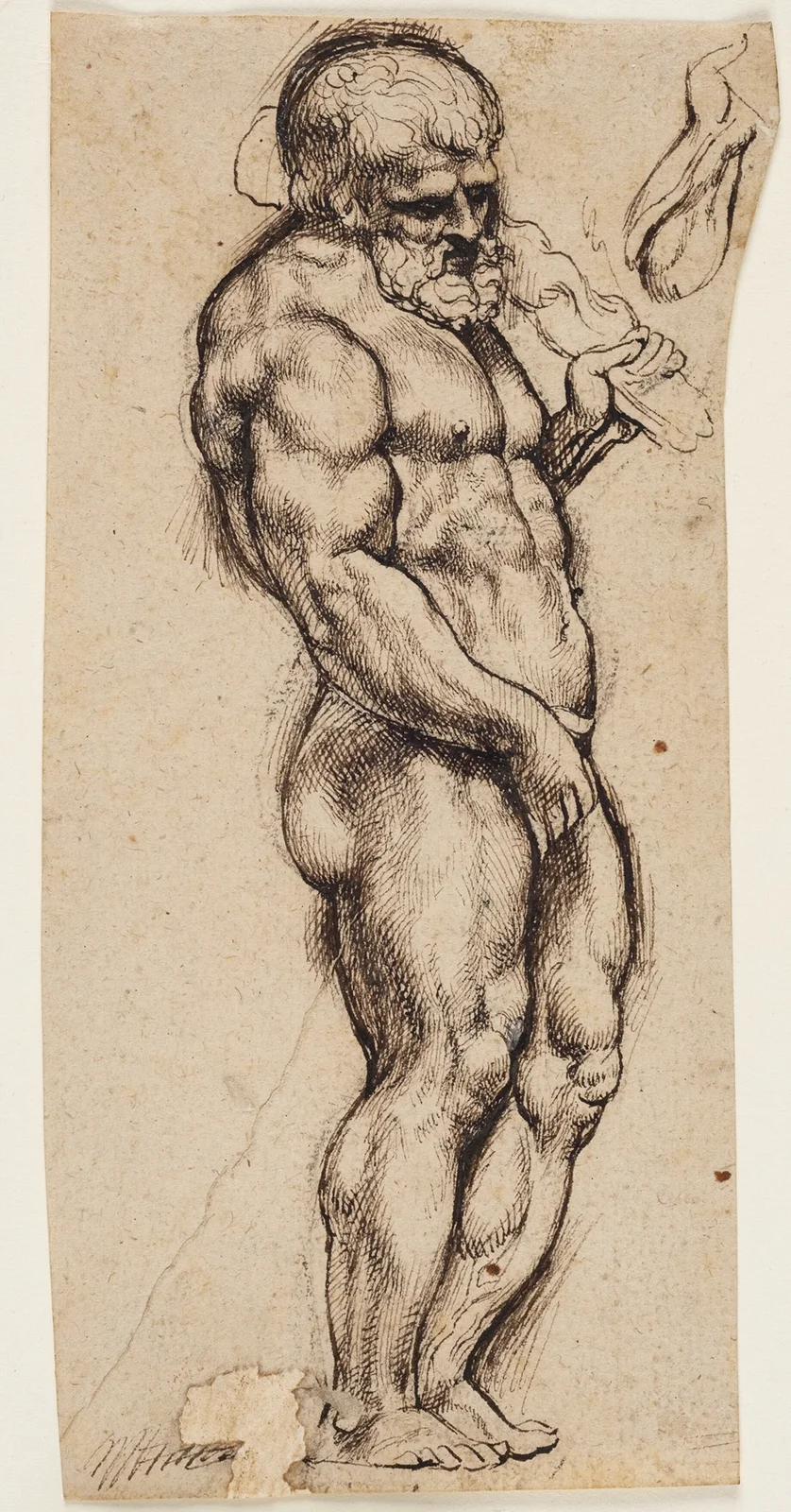 Hercules av Anthony van Dyck
