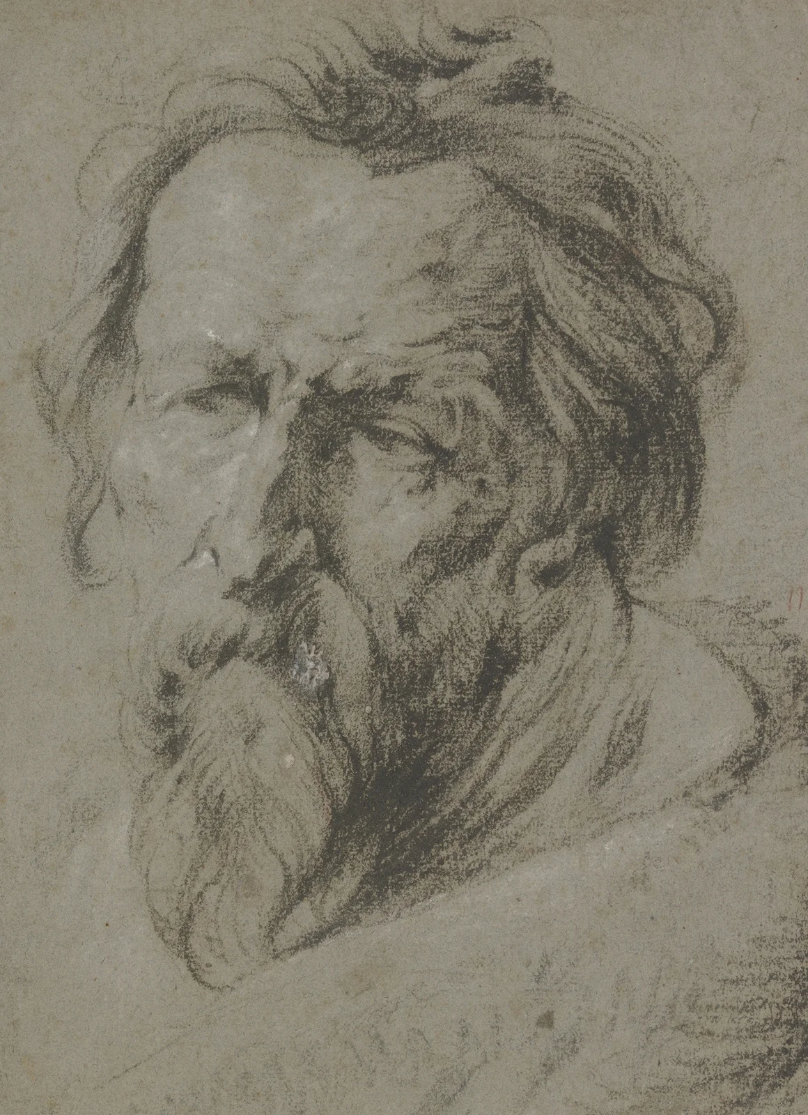 Kopf eines bärtigen Alten nach links av Anthony van Dyck