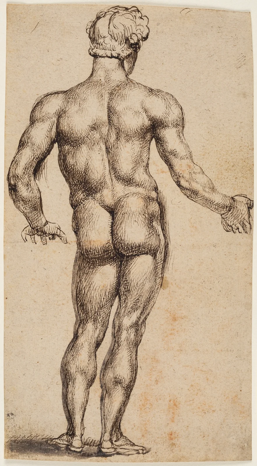 Mercury av Anthony van Dyck