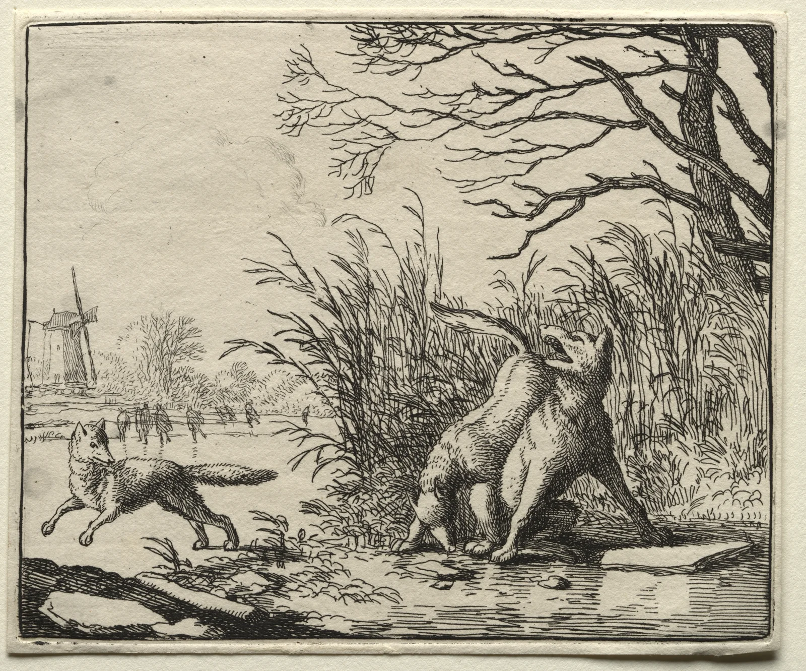 A New Accusation by the Wolf av Allaert van Everdingen