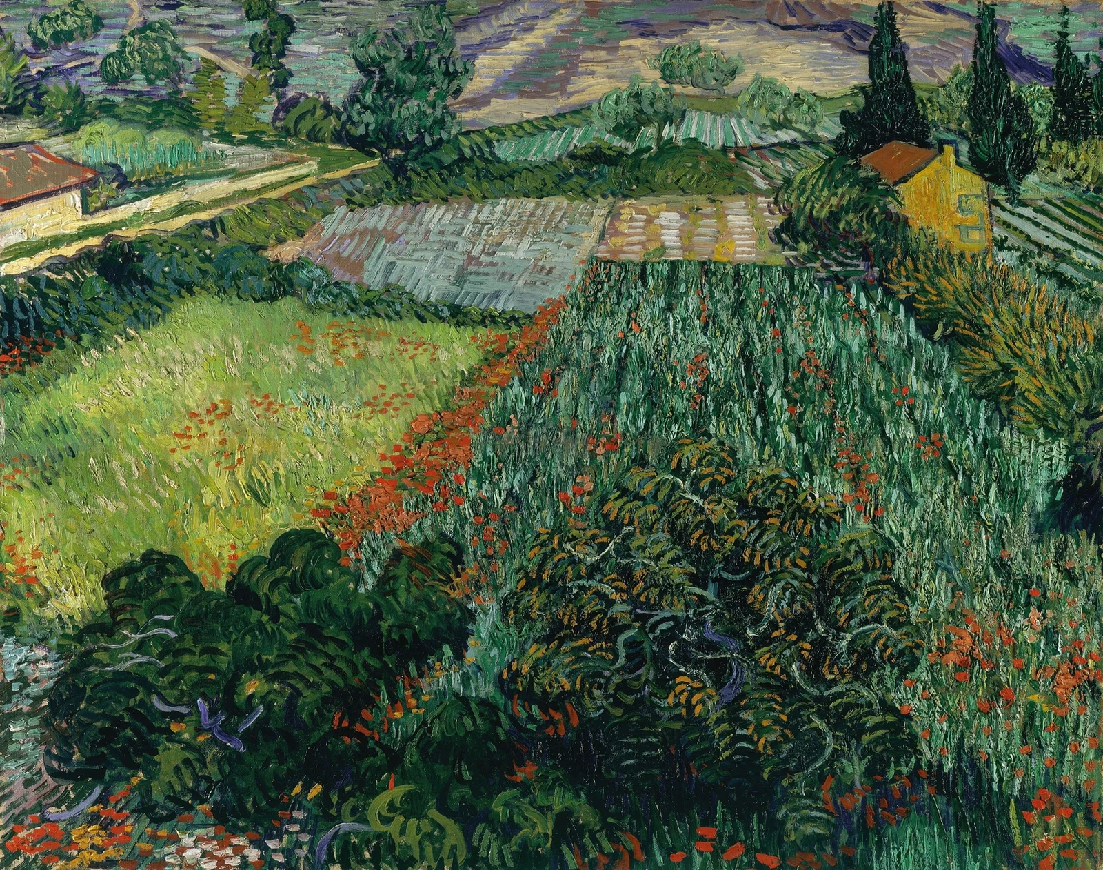 Field with Poppies av Vincent van Gogh