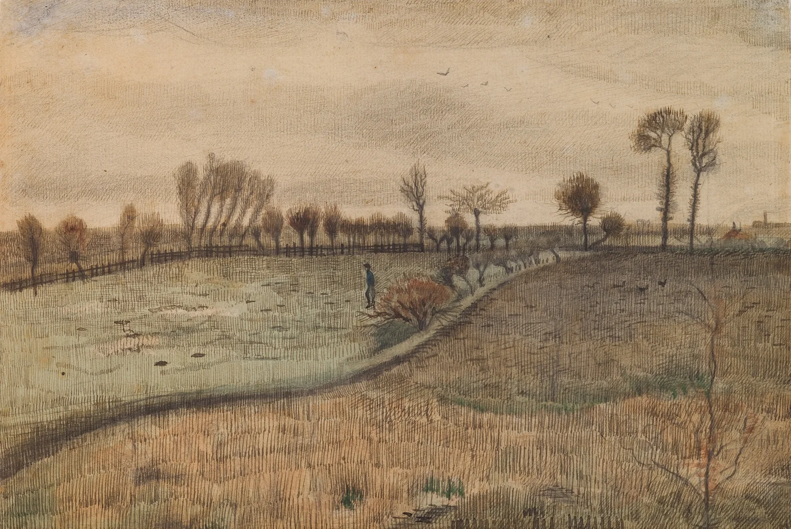 Landscape with Pollard Willows av Vincent van Gogh