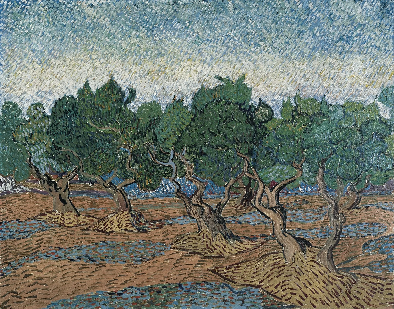 Olive grove av Vincent van Gogh