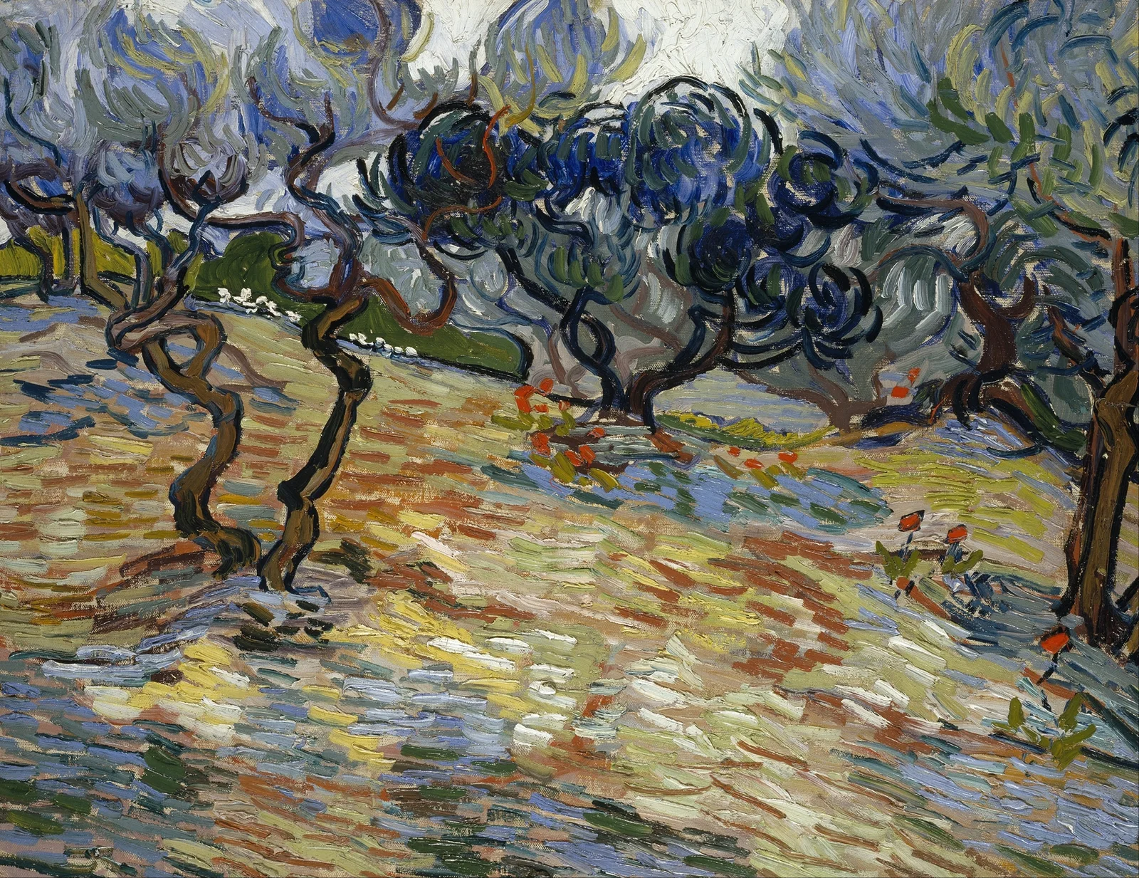 Olive Trees av Vincent van Gogh