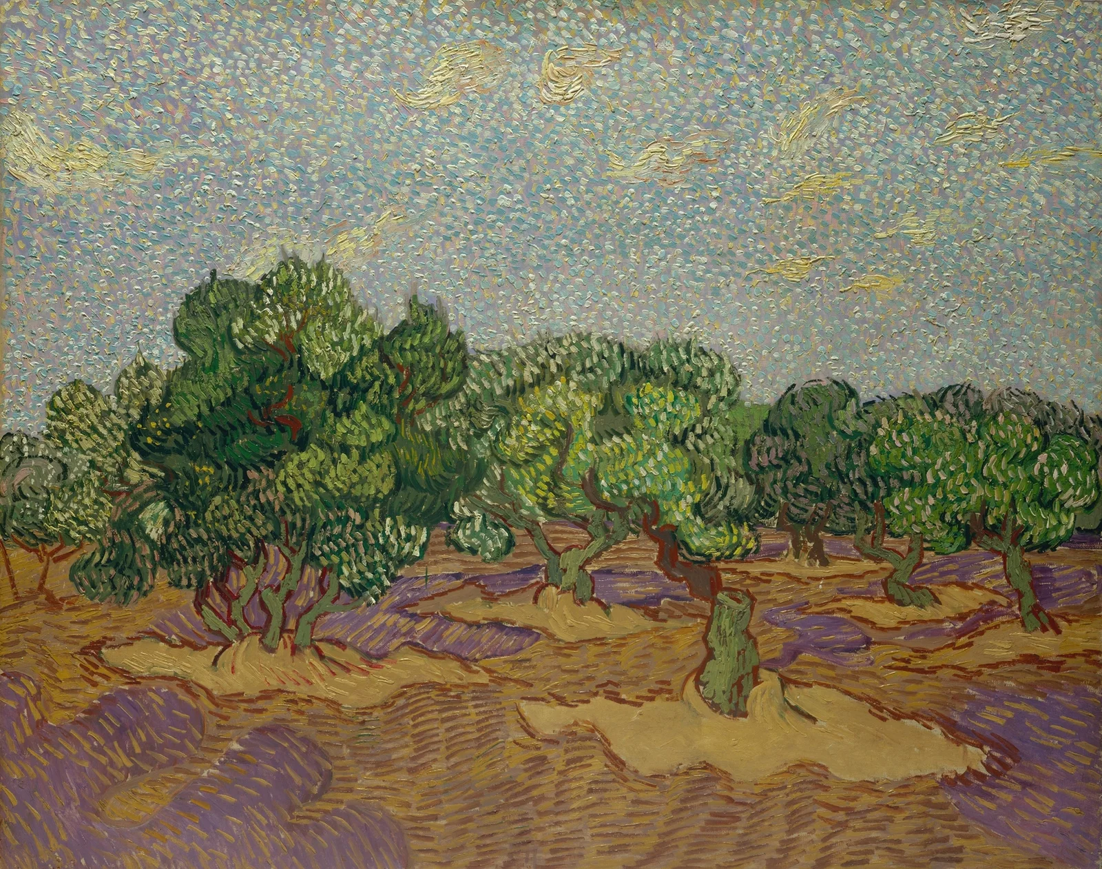 Olive Trees av Vincent van Gogh