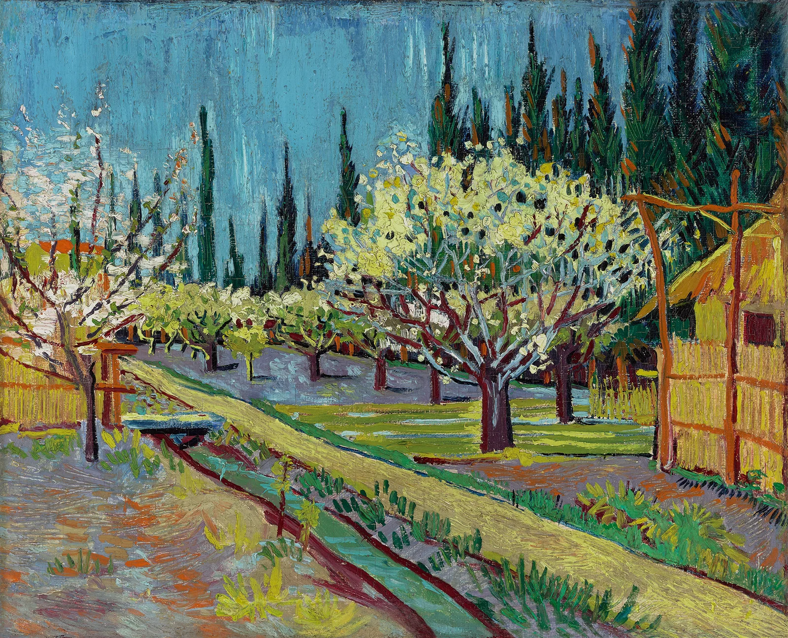 Orchard Bordered by Cypresses av Vincent van Gogh