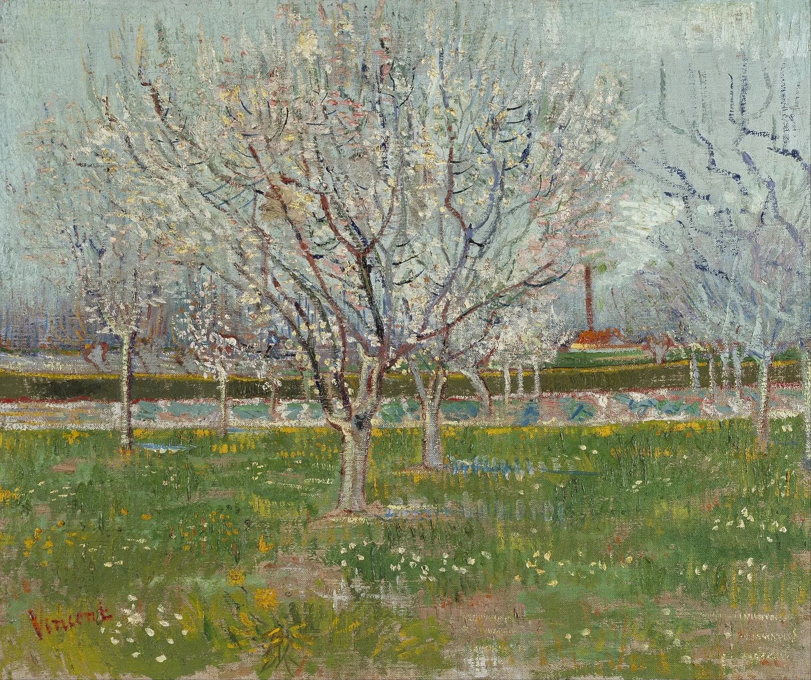 Orchard in Blossom (Plum Trees) av Vincent van Gogh