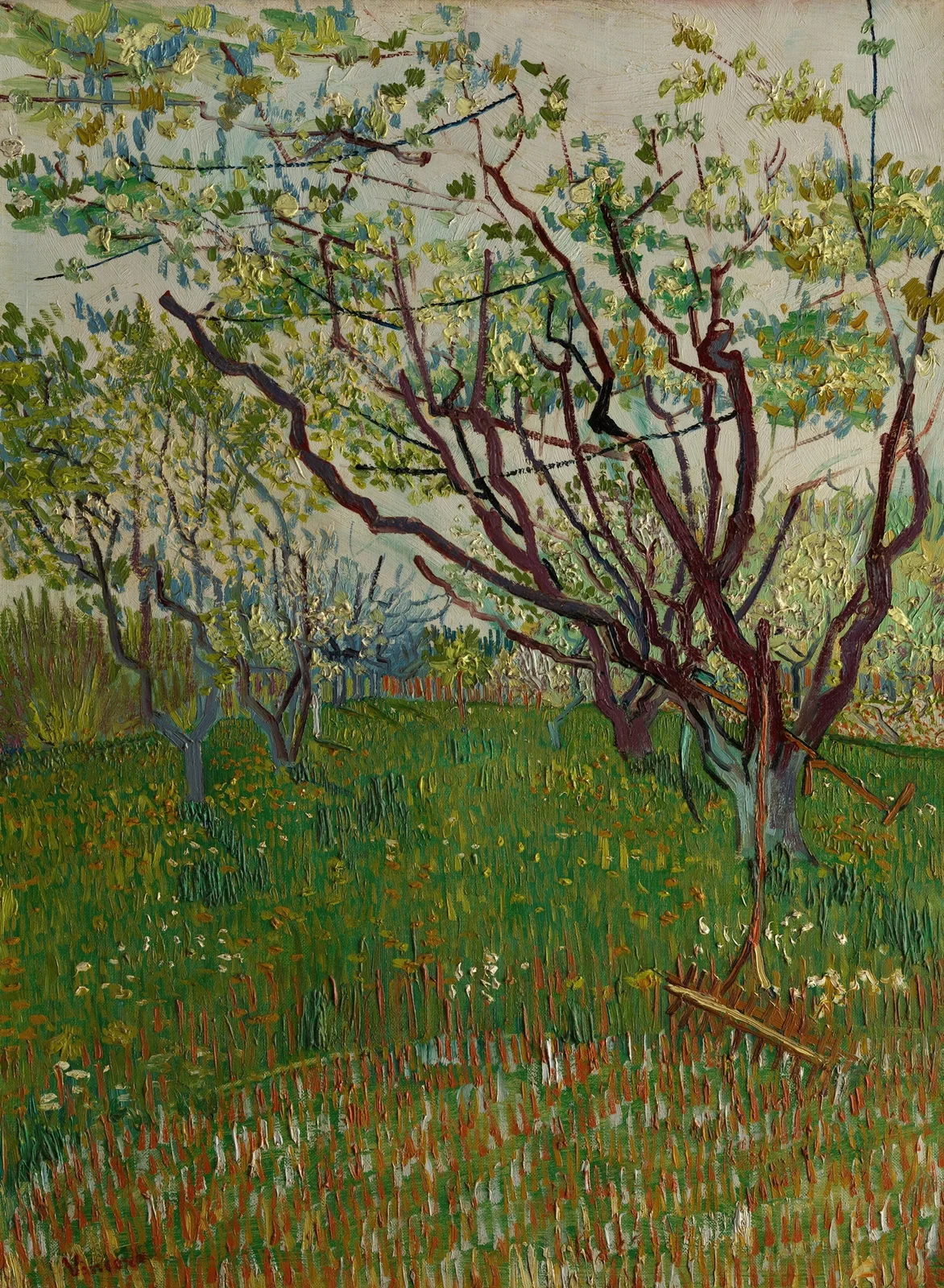 The Flowering Orchard av Vincent van Gogh