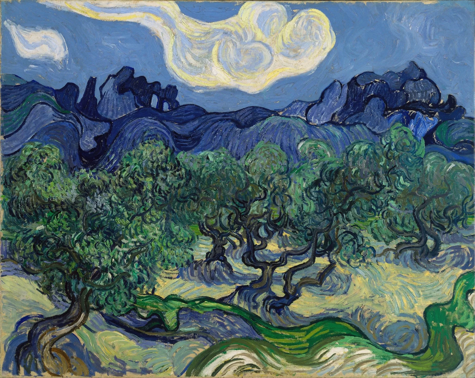 The Olive Trees av Vincent van Gogh