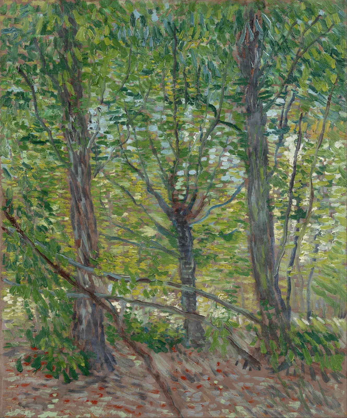 Trees av Vincent van Gogh