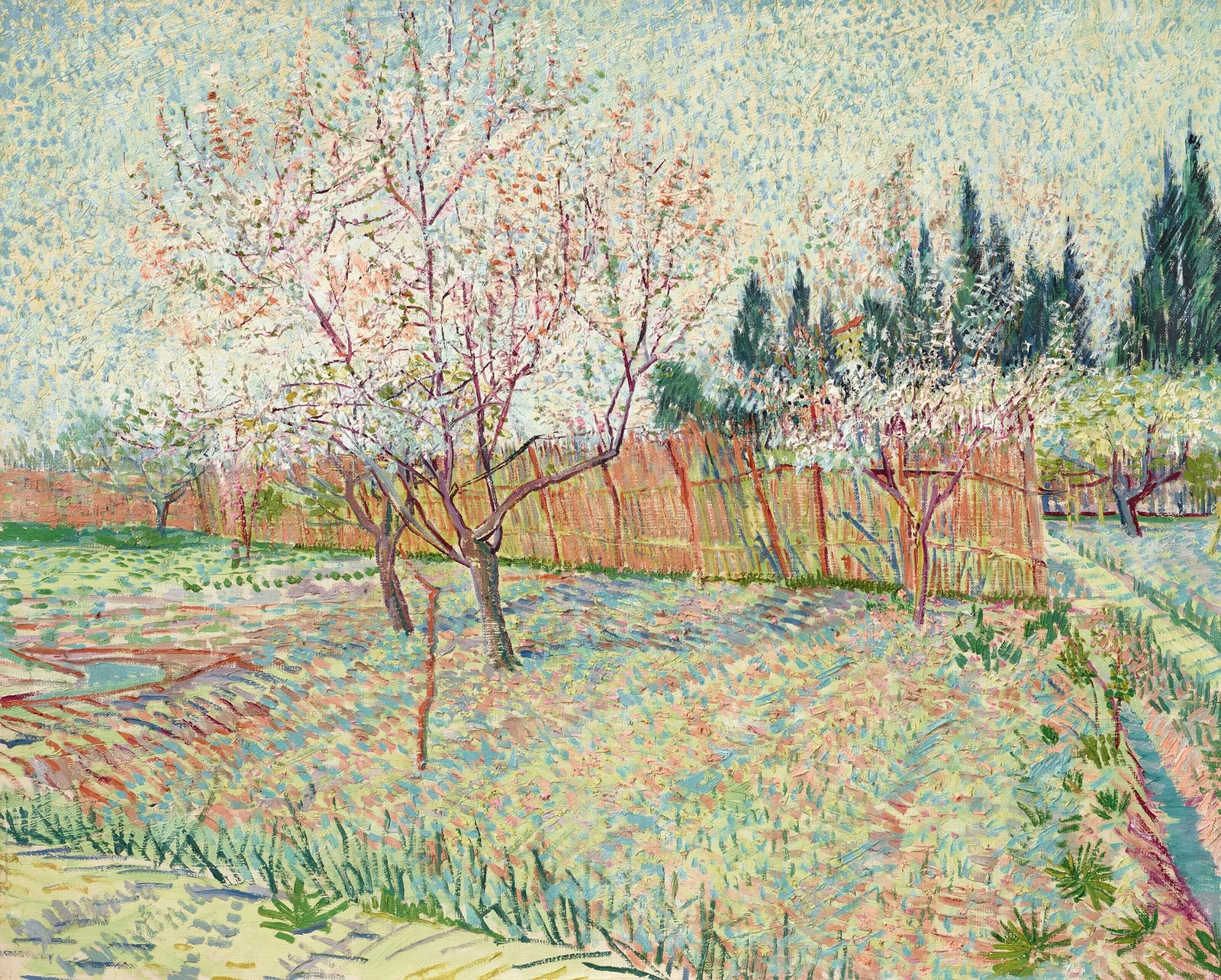 Verger avec cyprès av Vincent van Gogh