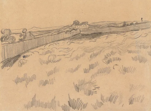 View of the Field behind Saint Paul’s Asylum in Saint-Rémy-de-Provence av Vincent van Gogh