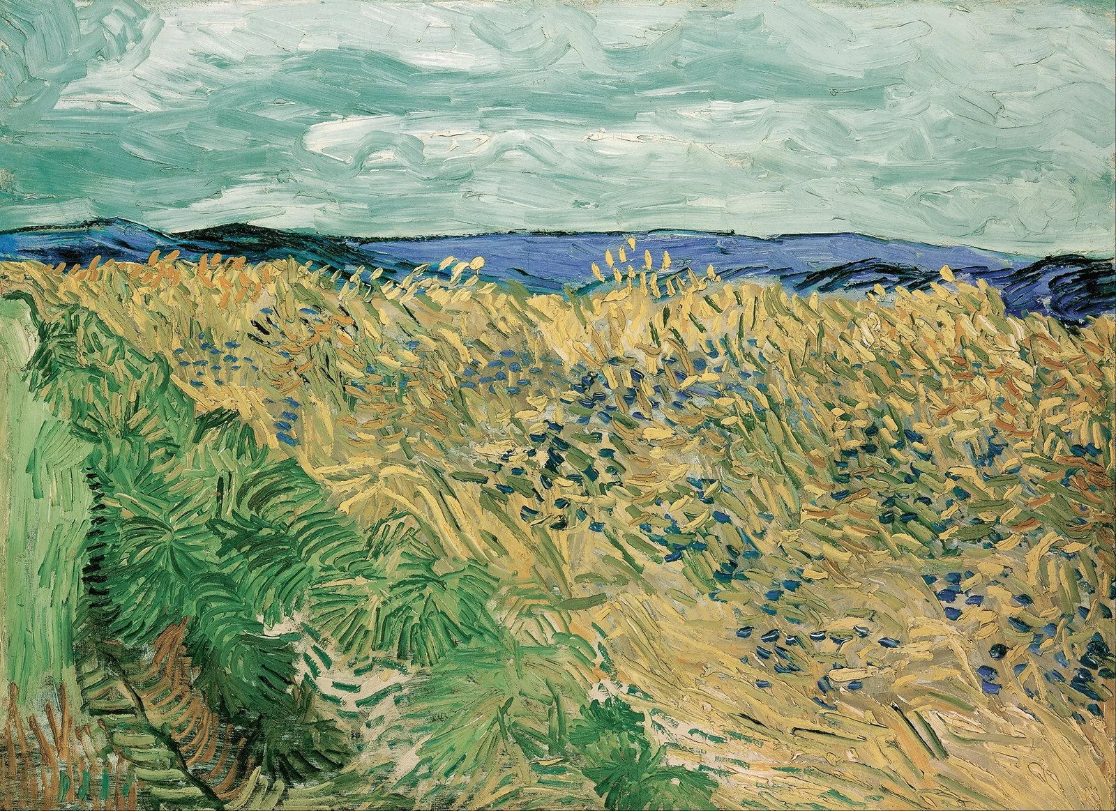 Wheatfield With Cornflowers av Vincent van Gogh