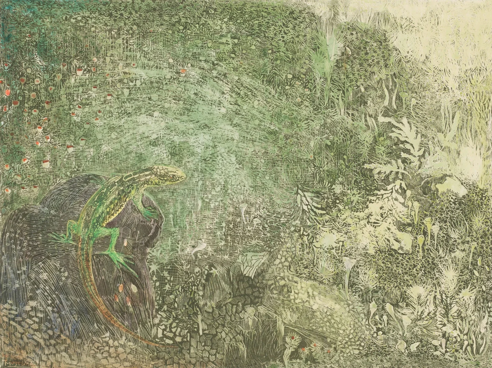 Lizard On A Stone av Theo van Hoytema