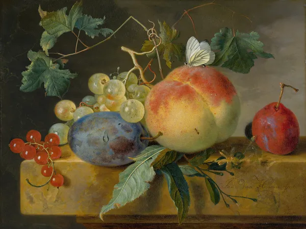 Fruit Still Life av Jan van Huysum