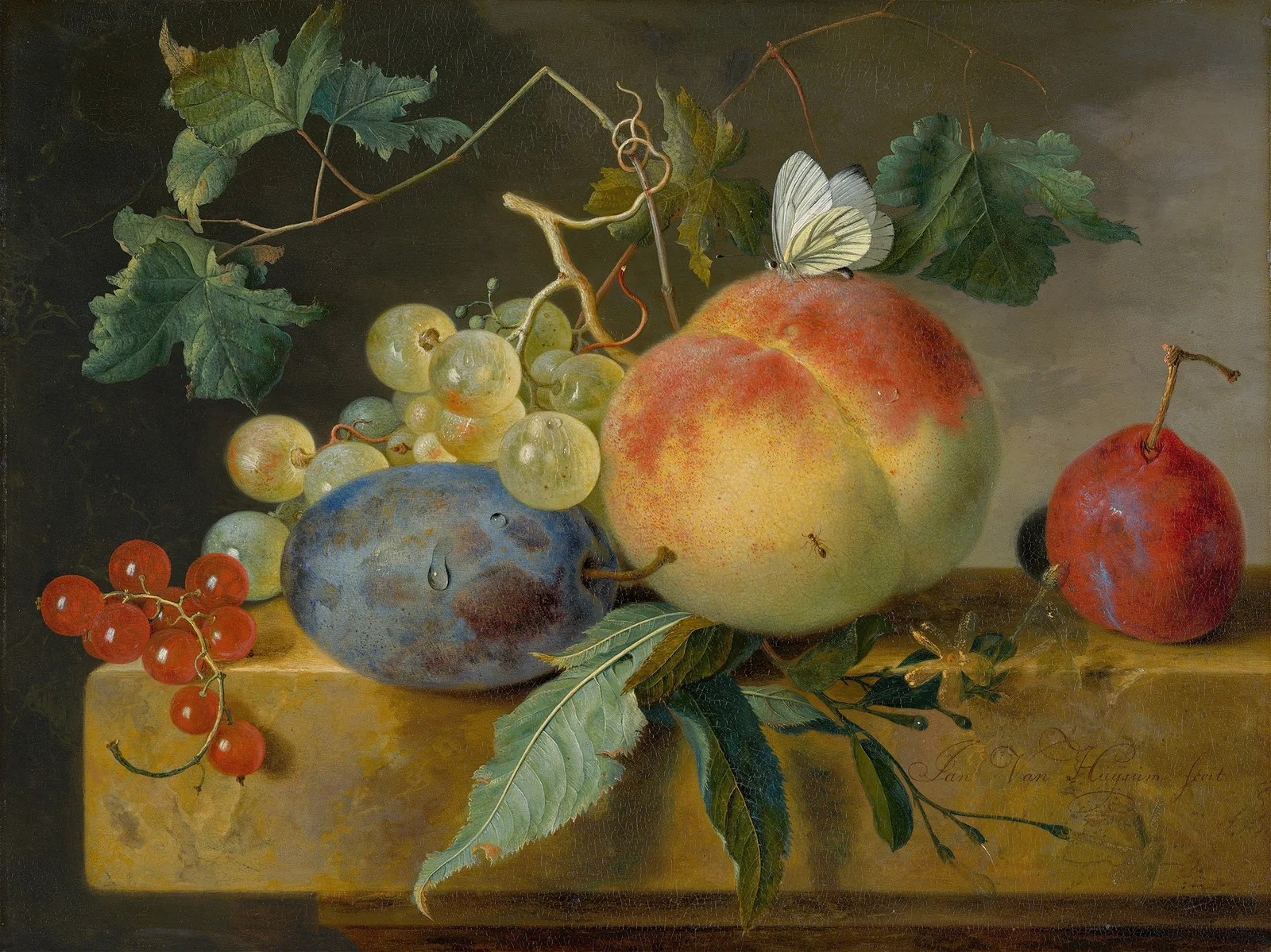 Fruit Still Life av Jan van Huysum