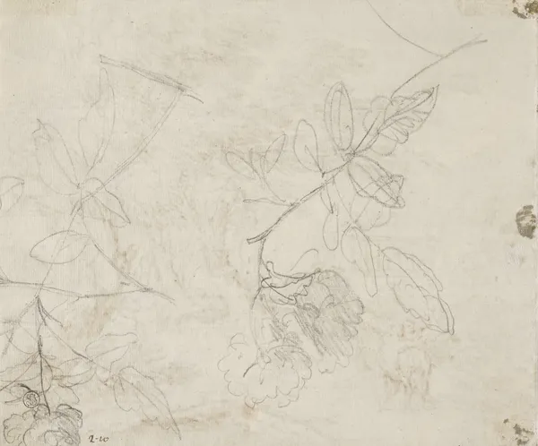 Two blooming branches av Jan van Huysum