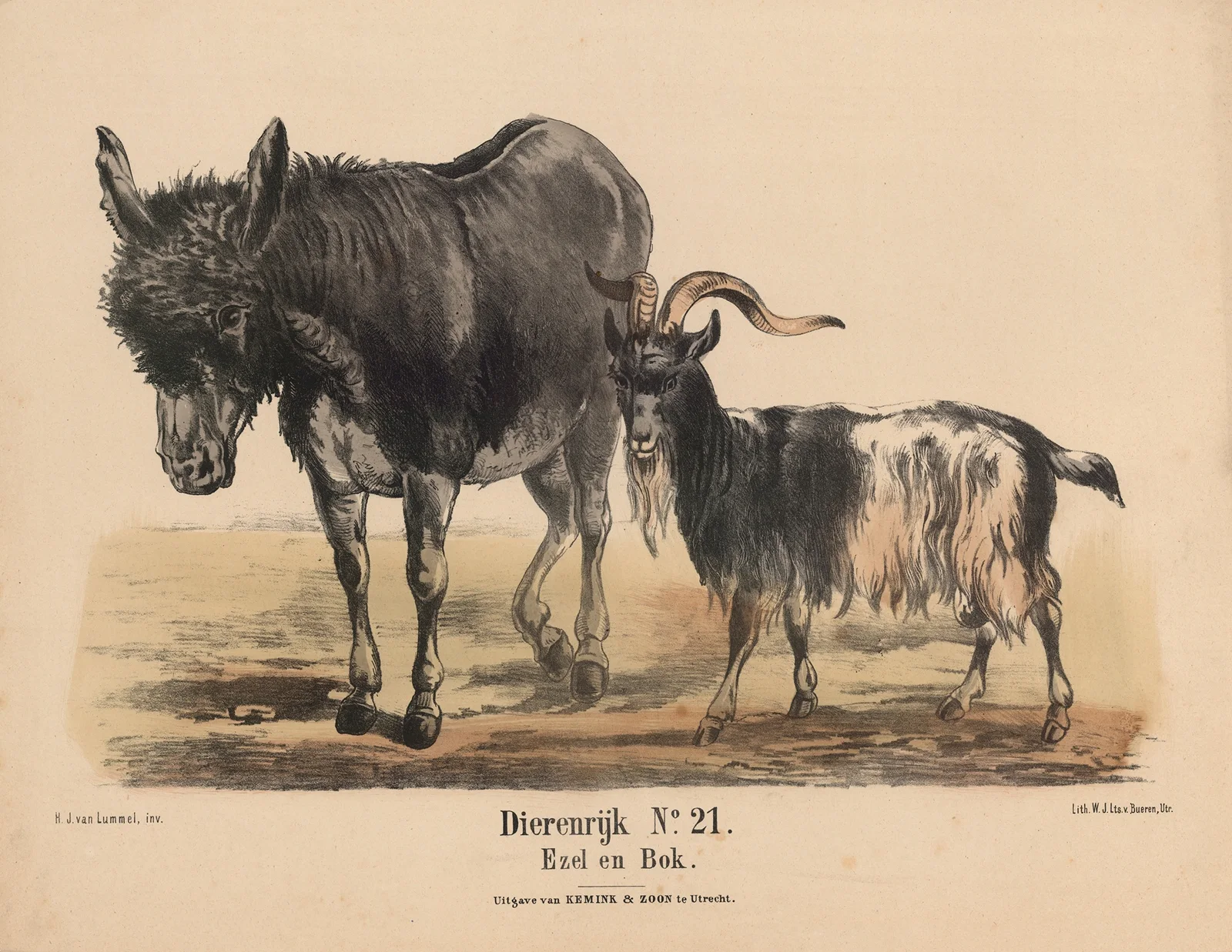 Ezel en Bok av Hendrik Jan van Lummel