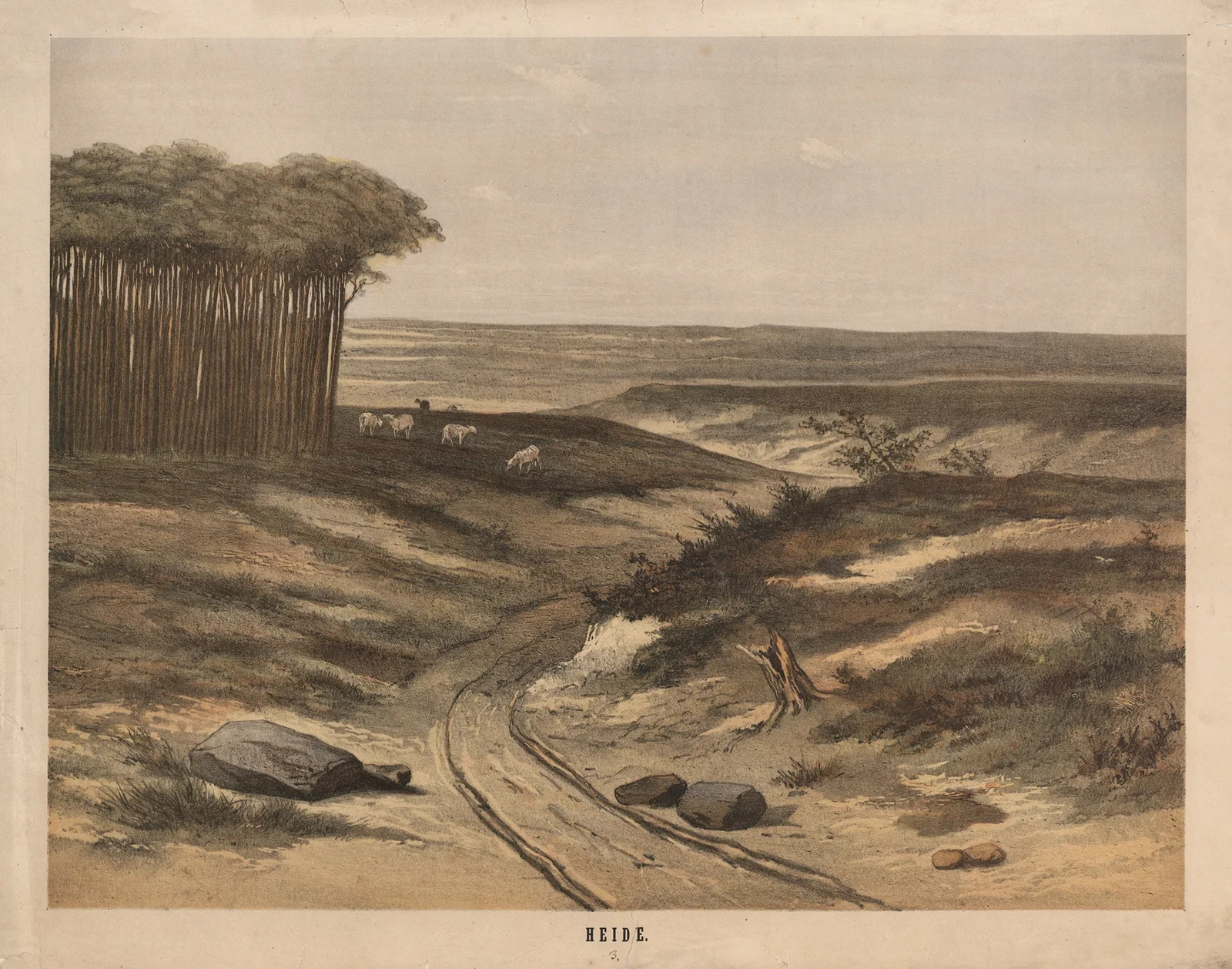 Heide av Hendrik Jan van Lummel