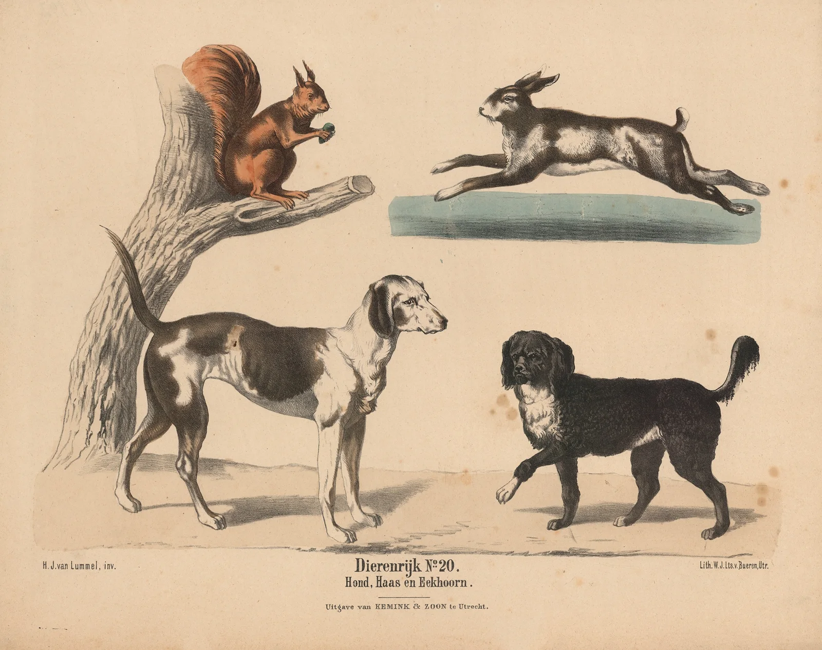 Hond, Haas en Eekhoorn av Hendrik Jan van Lummel