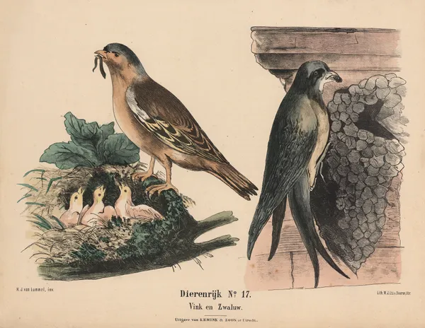 Vink en Zwaluw av Hendrik Jan van Lummel