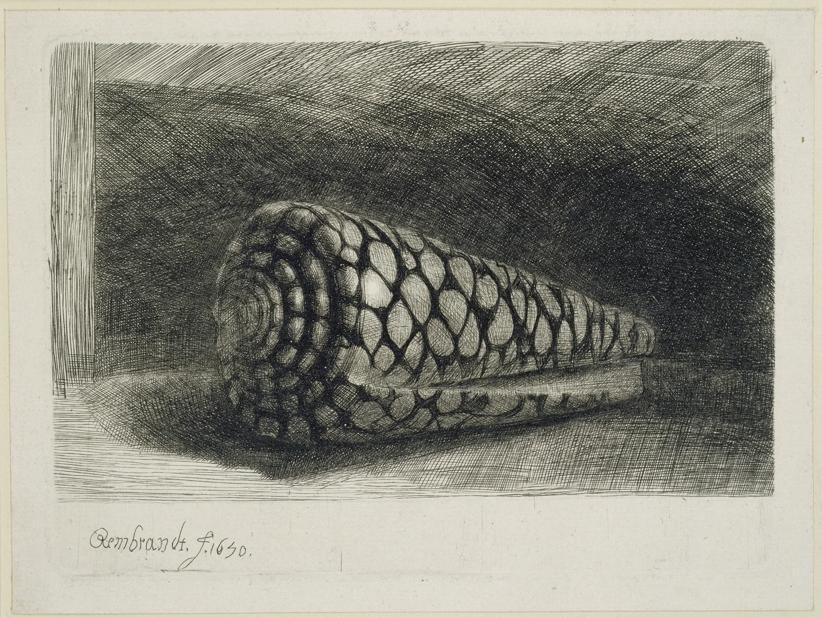 The Shell av Rembrandt van Rijn