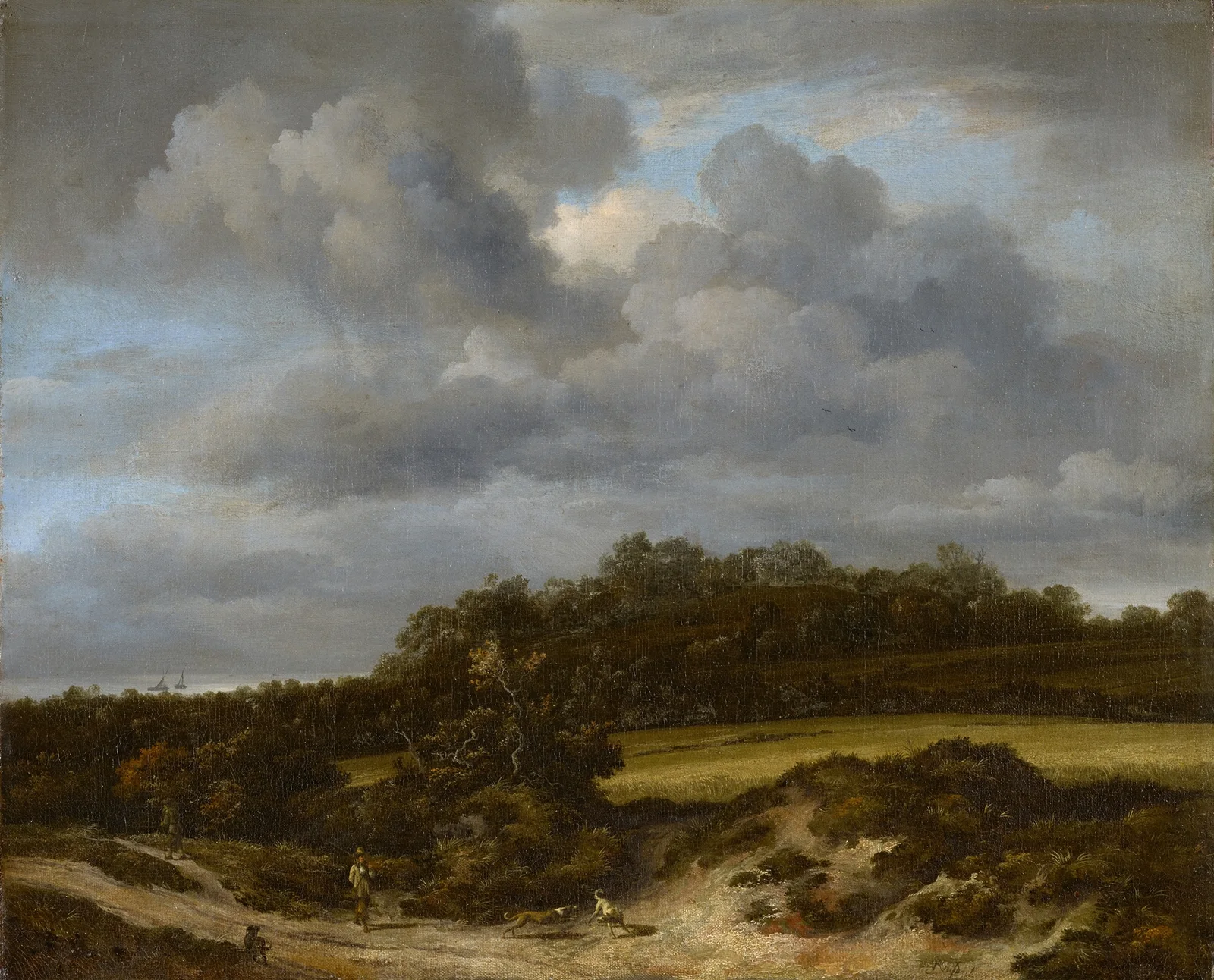 Cornfield av Jacob van Ruisdael