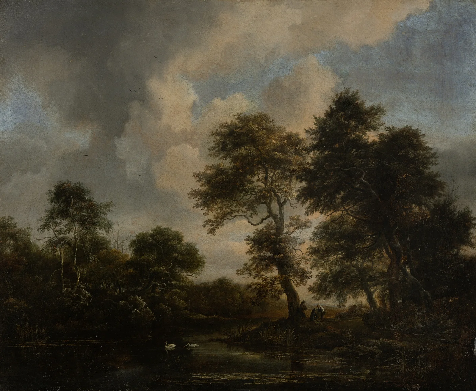 Forest Lake with two Swans av Jacob van Ruisdael