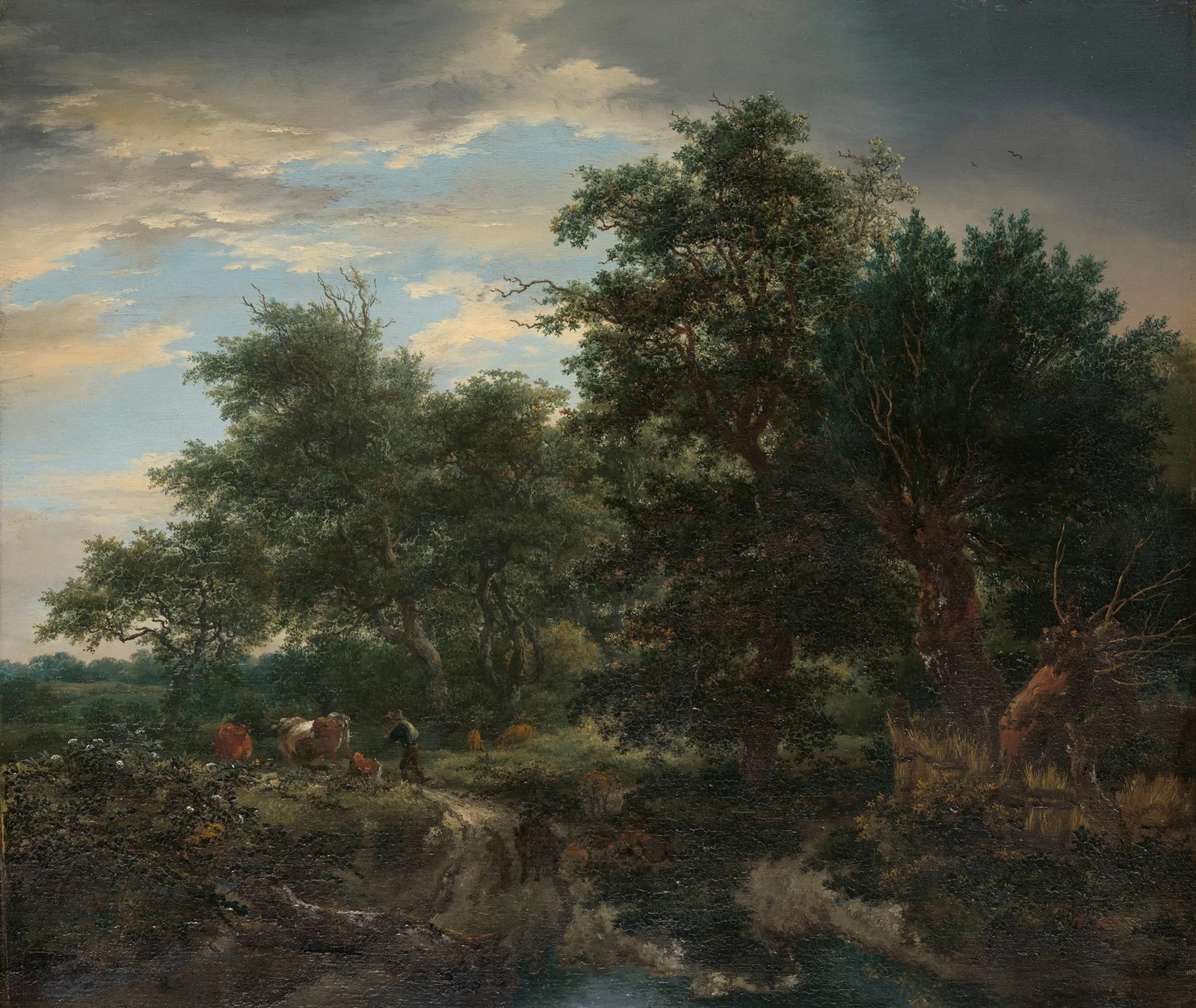Forest scene av Jacob van Ruisdael
