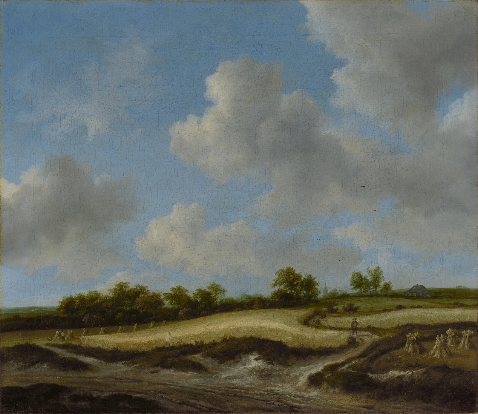 Landscape with a Wheatfield av Jacob van Ruisdael
