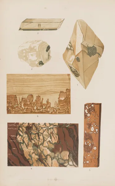 Wielki atlas do zoologii, botaniki i mineralogii Pl.116 av Gustav von Hayek