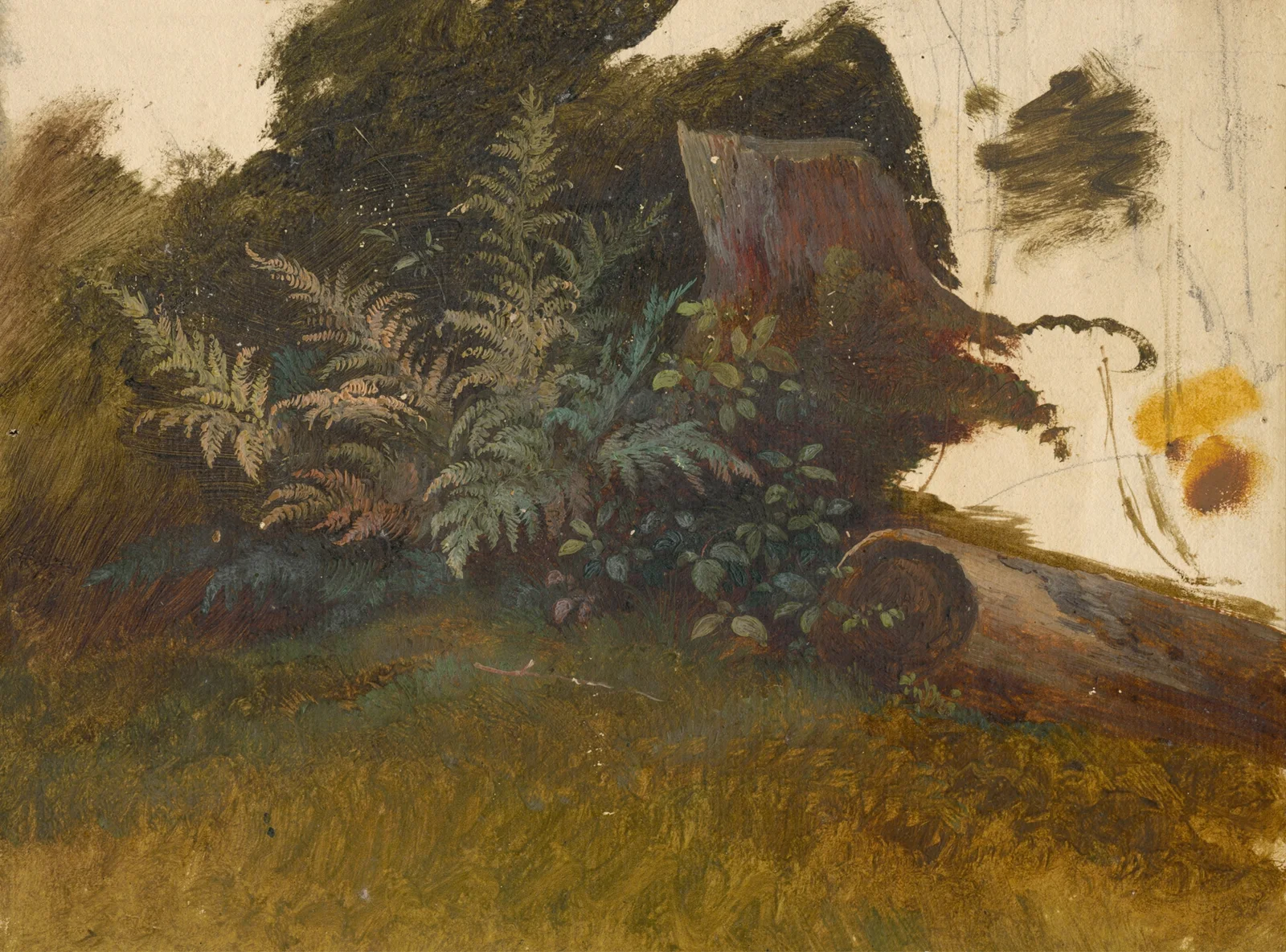 Mountain Vegetation av Friedrich Carl von Scheidlin