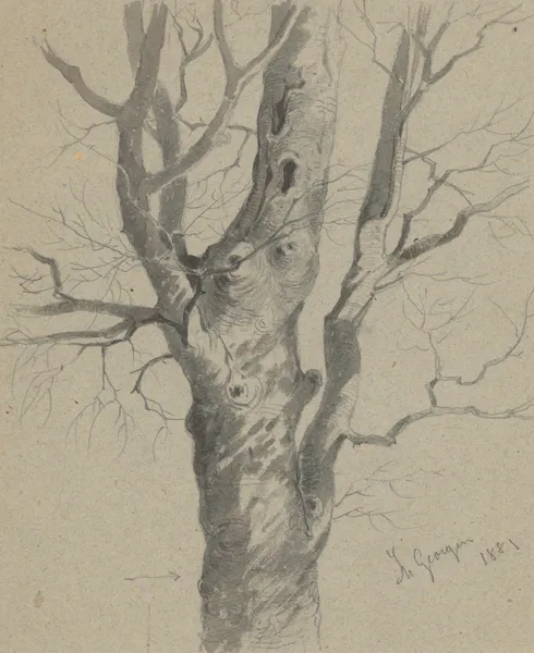 Study of a Knotted Tree Trunk av Friedrich Carl von Scheidlin