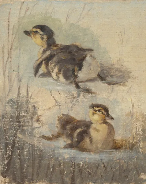 Study of Ducks on the Water II. av Friedrich Carl von Scheidlin