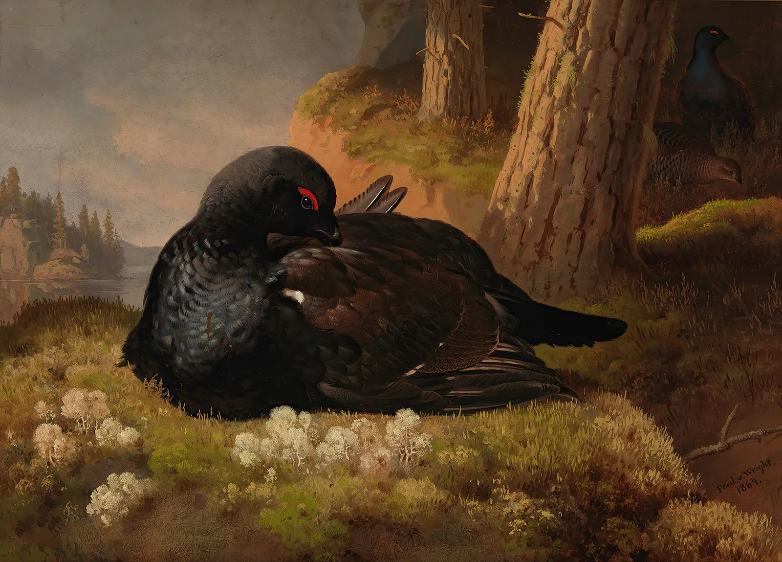 Black Grouse av Ferdinand von Wright