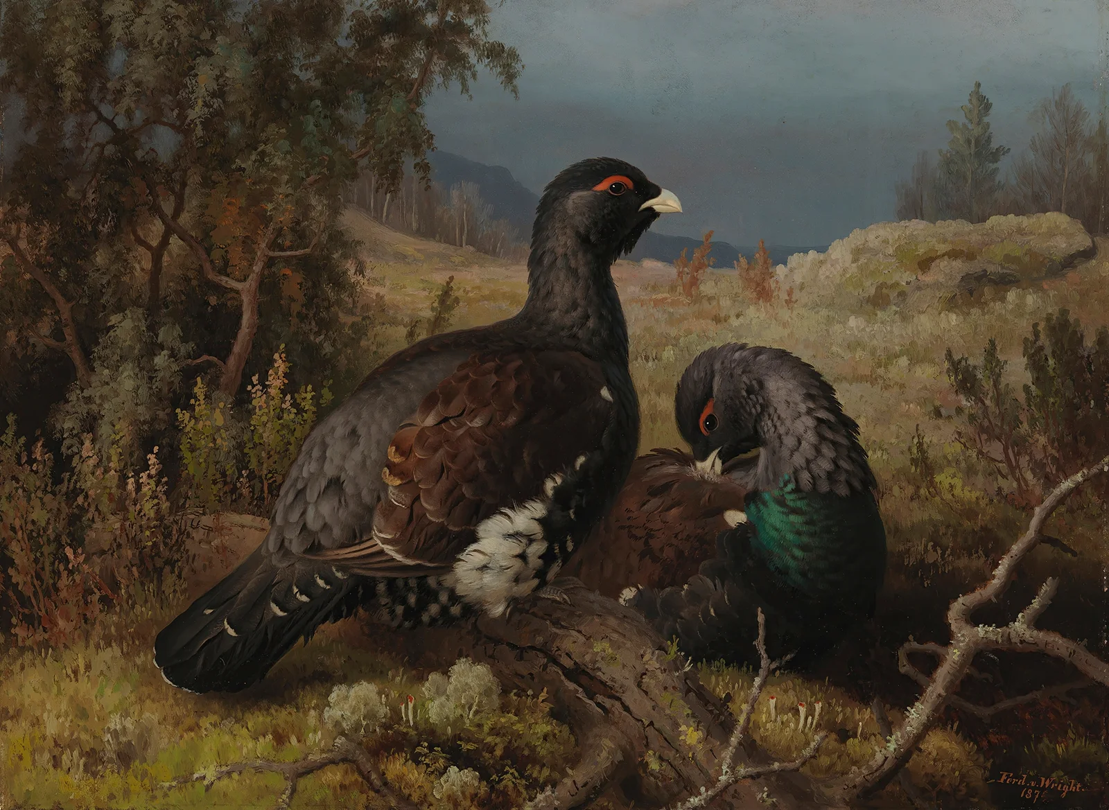 Capercaillie Cocks av Ferdinand von Wright