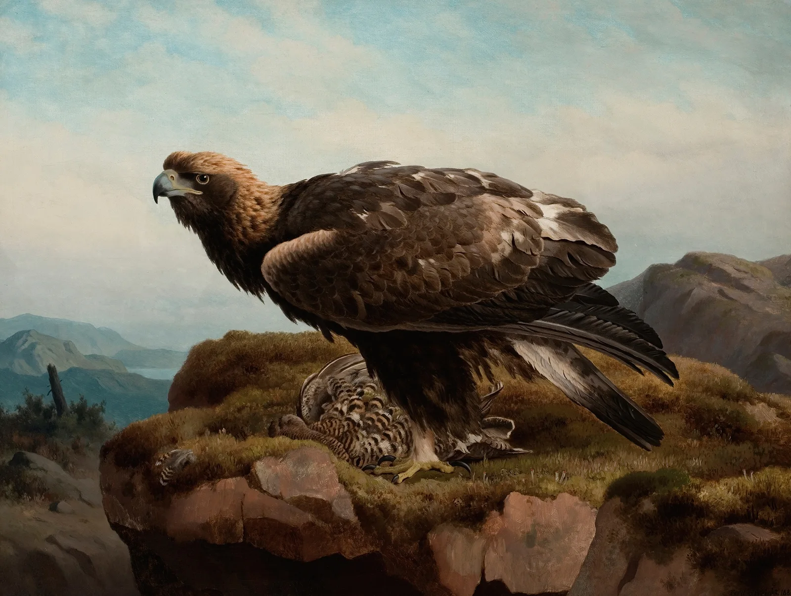 Golden Eagle At A Cliff’s Edge av Ferdinand von Wright