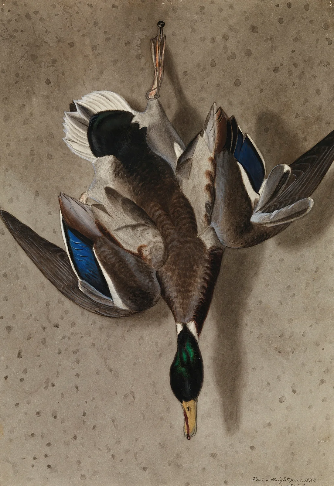 Hanging Mallard av Ferdinand von Wright