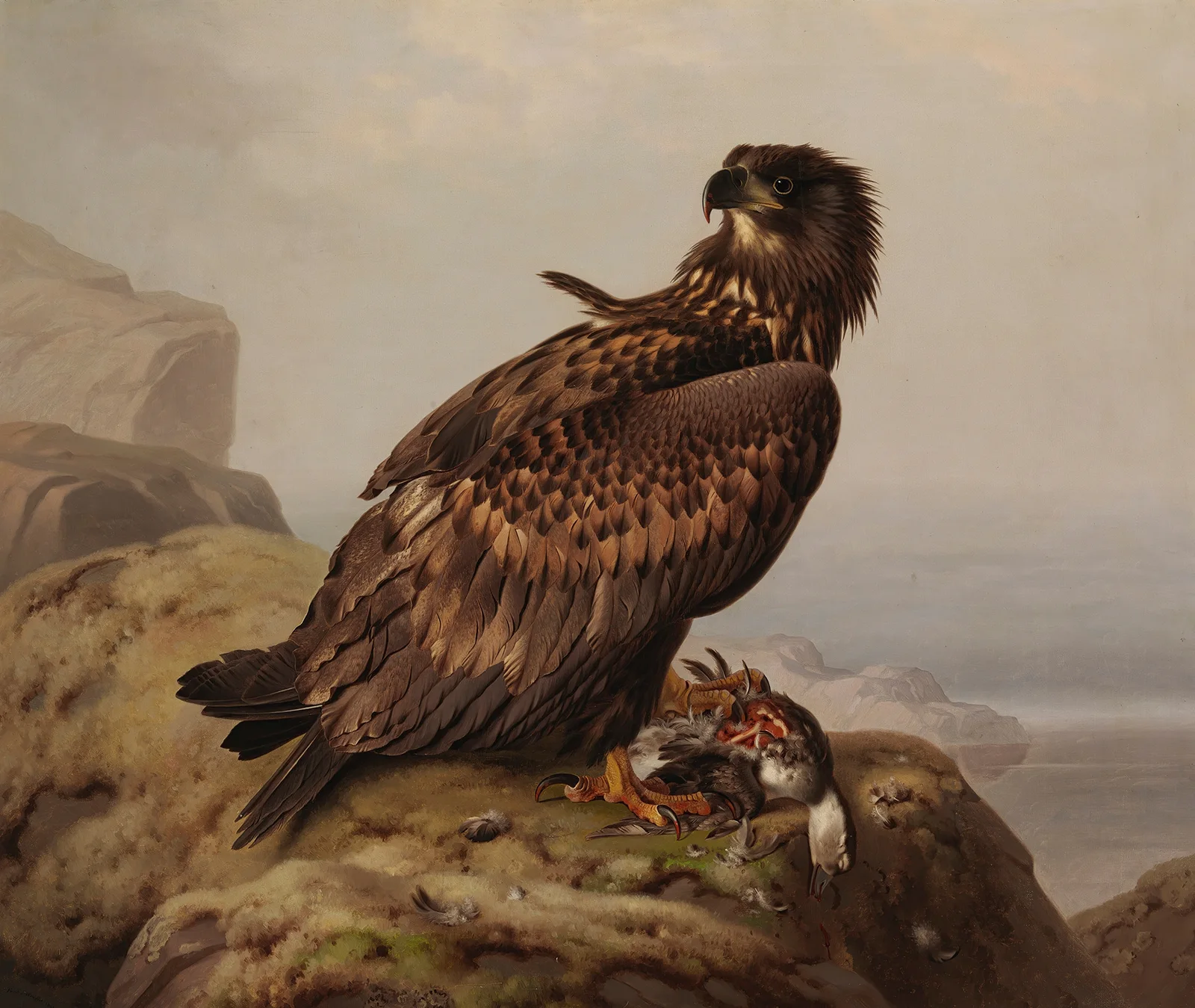 White-Tailed Eagle With Its Prey av Ferdinand von Wright