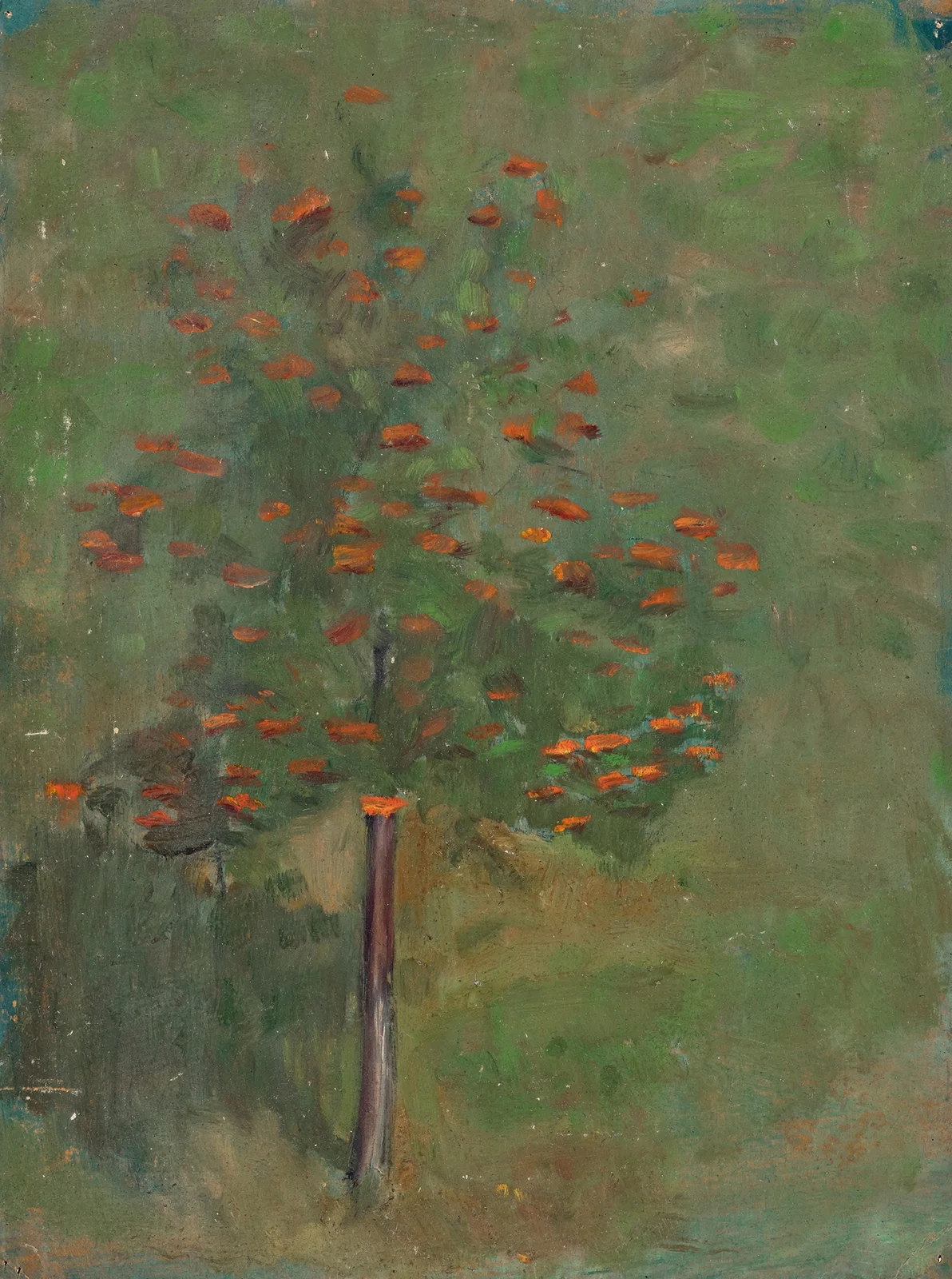 Obstbaum av Walther Gamerith