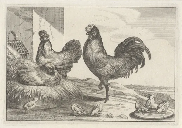 A cock, chicken, hen, and six chicks in a farmyard av Wenceslaus Hollar