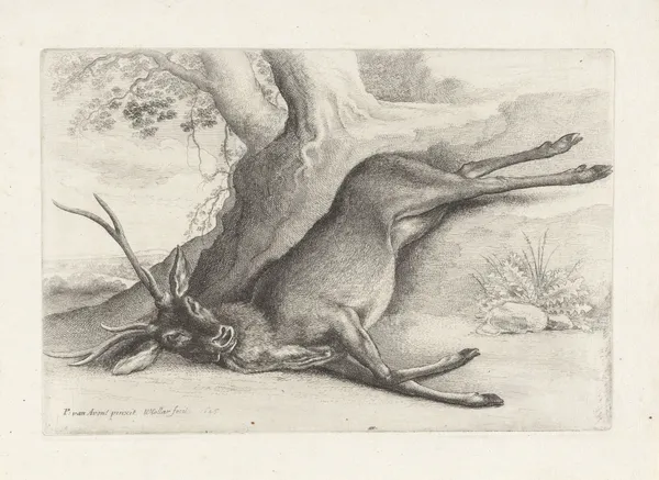 A dead stag lying in a wooded landscape av Wenceslaus Hollar