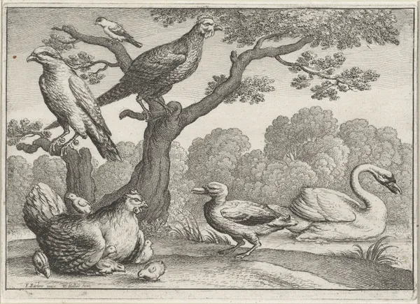 Birds by a river; a swan and duck, a chicken with a brood of chicks, another fowl and two more birds in a tree av Wenceslaus Hollar