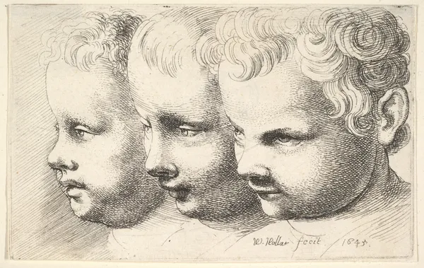 Three children’s heads av Wenceslaus Hollar